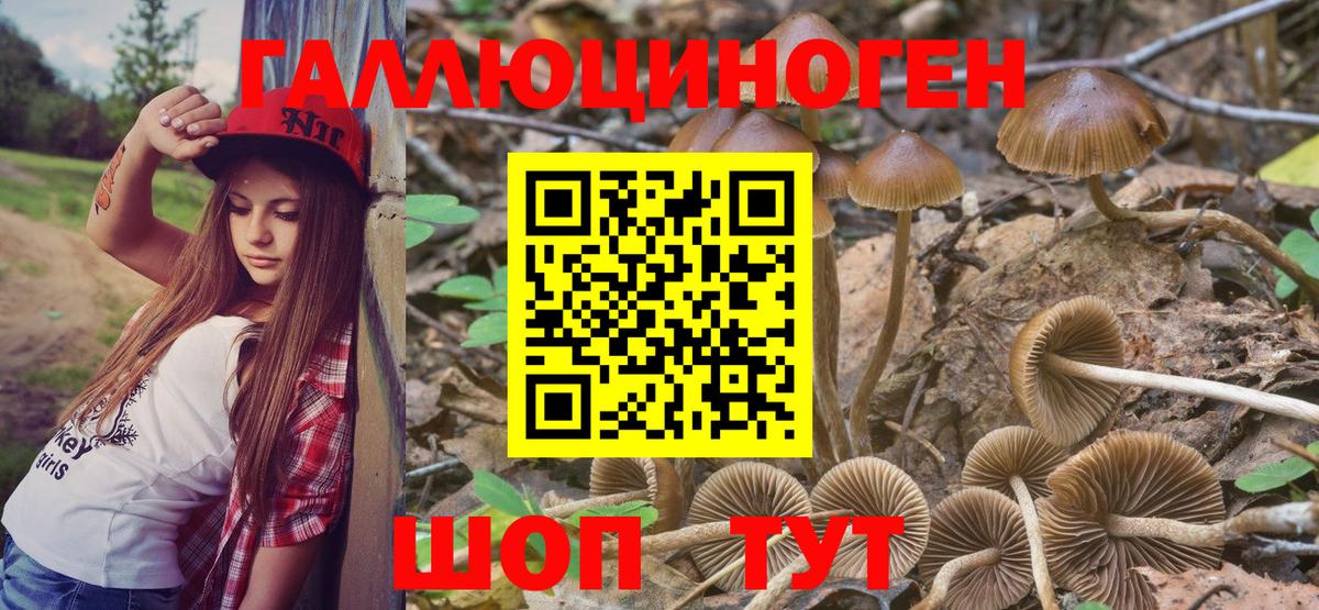 Галлюциногенные грибы GOLDEN TEACHER Новочеркасск