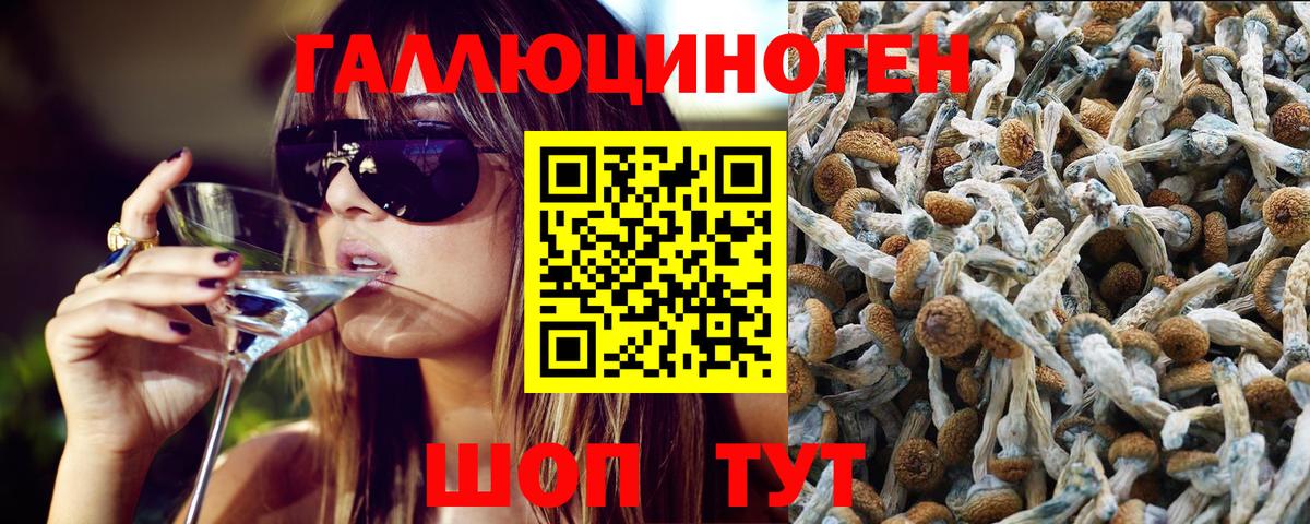 Псилоцибиновые грибы мухоморы  Псилоцибиновые грибы Cubensis  наркота  Новочеркасск  Вход с VPN 